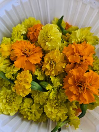 최선희님의 기타작물 · 자유게시판 작성글 사진