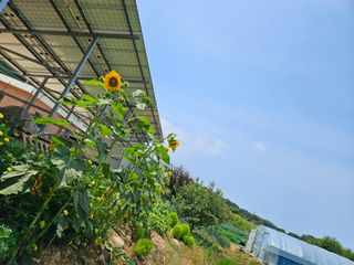 최선희님의 기타작물 · 자유게시판 작성글 사진