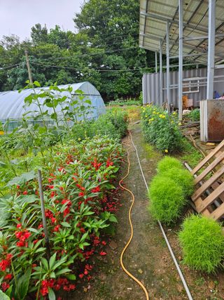 최선희님의 기타작물 · 자유게시판 작성글 사진