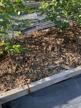 팜모닝 마늘·일상 게시글 이미지