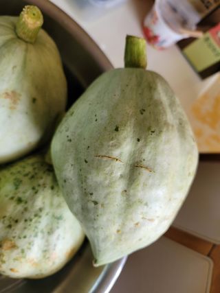 열정님의 자유주제 · 자유게시판 작성글 사진