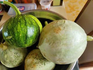 열정님의 자유주제 · 자유게시판 작성글 사진