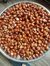 팜모닝 기타작물·자유게시판 게시글 이미지