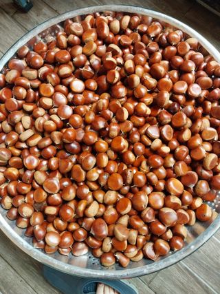 산골마님님의 기타작물 · 자유게시판 작성글 사진