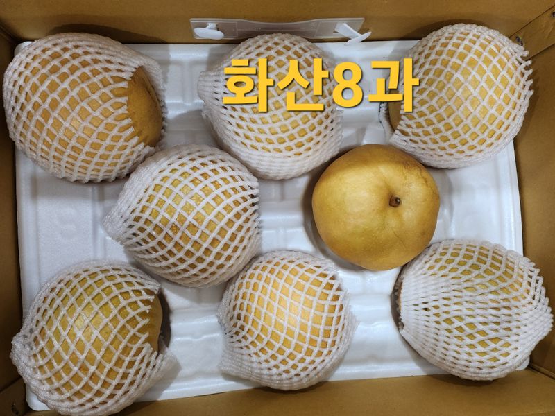 손정아님의 장터 판매 상품 [(햇배)🍊황금배,🍊화산배 7.5Kg] 첨부 사진