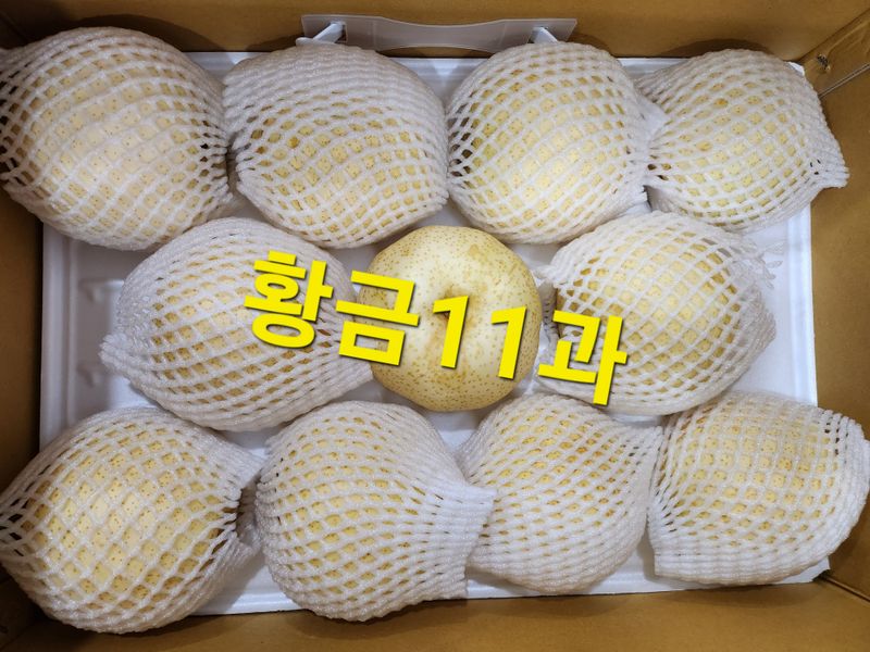 손정아님의 장터 판매 상품 [(햇배)🍊황금배,🍊화산배 7.5Kg] 첨부 사진