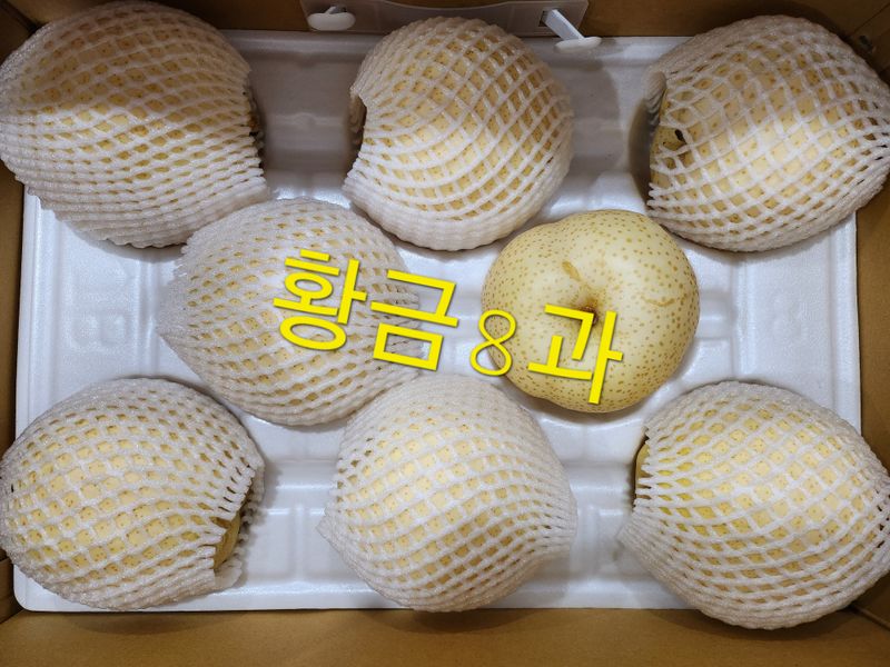 손정아님의 장터 판매 상품 [(햇배)🍊황금배,🍊화산배 7.5Kg] 첨부 사진