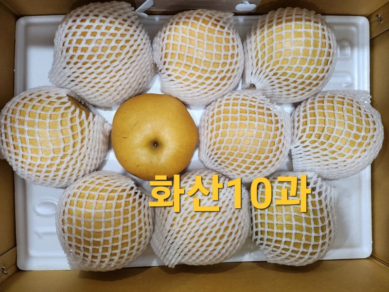 손정아님의 장터 판매 상품 [(햇배)🍊황금배,🍊화산배 7.5Kg] 첨부 사진