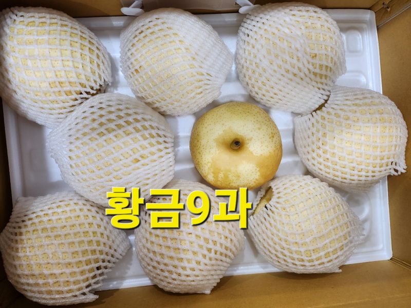 손정아님의 장터 판매 상품 [(햇배)🍊황금배,🍊화산배 7.5Kg] 첨부 사진