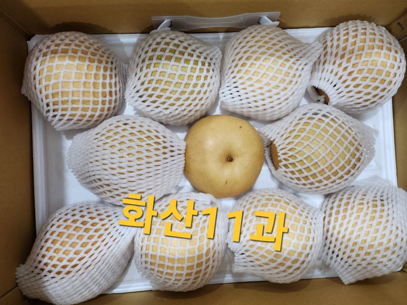 손정아님의 장터 판매 상품 [(햇배)🍊황금배,🍊화산배 7.5Kg] 첨부 사진
