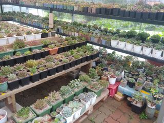 추성호님의 기타작물 · 자유게시판 작성글 사진