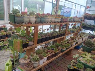 추성호님의 기타작물 · 자유게시판 작성글 사진