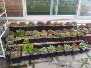 추성호님의 기타작물 · 자유게시판 작성글 사진