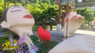 제주농부님의 고추 · 일상 작성글 사진