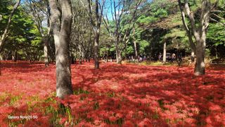 제주농부님의 고추 · 일상 작성글 사진