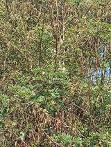 팜모닝 자유주제·자유게시판 게시글 이미지