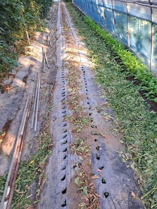 이인성님의 가을 농사계획 알려주세요🍁 · 참여글 작성글 사진