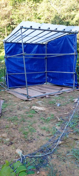 성낙신 님의 자유주제 · 자유게시판 작성글 사진