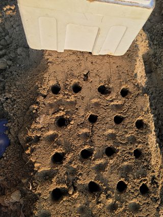 박영만님의 파 · 영농일지 작성글 사진