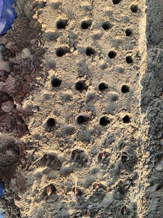 박영만님의 파 · 영농일지 작성글 사진