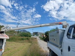 안성농부님의 벼 · 자유게시판 작성글 사진