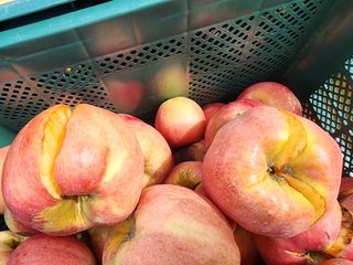 김영옥님의 자유주제 · 자유게시판 작성글 사진