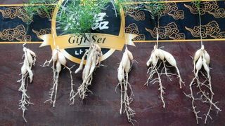 이창신님의 작성글 사진