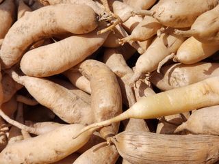 이창신님의 작성글 사진