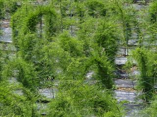 이창신님의 작성글 사진