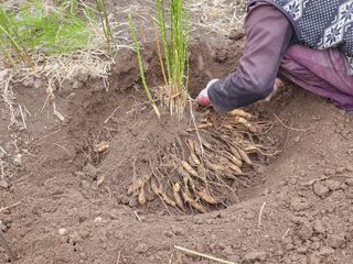 이창신님의 작성글 사진