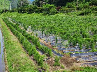 이창신님의 작성글 사진