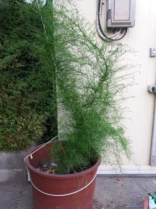 이창신님의 작성글 사진