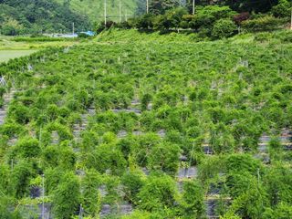 이창신님의 작성글 사진