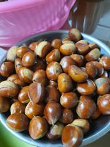 팜모닝 자유주제·자유게시판 게시글 이미지