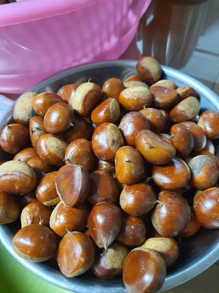 강영미 님의 자유주제 · 자유게시판 작성글 사진