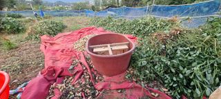 최준영님의 자유주제 · 자유게시판 작성글 사진