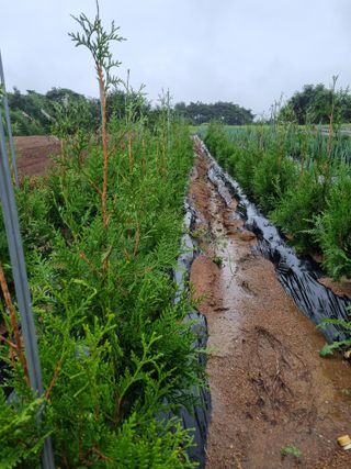 김명동님의 자유주제 · 자유게시판 작성글 사진