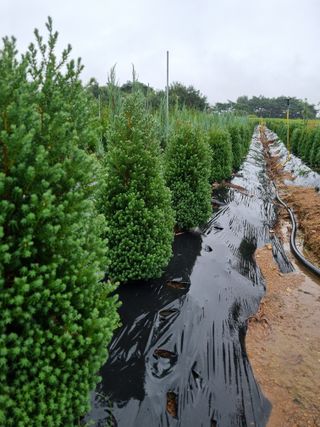 김명동님의 자유주제 · 자유게시판 작성글 사진