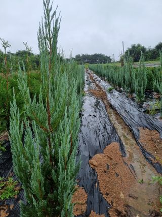 김명동님의 자유주제 · 자유게시판 작성글 사진