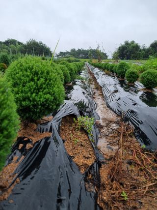 김명동님의 자유주제 · 자유게시판 작성글 사진
