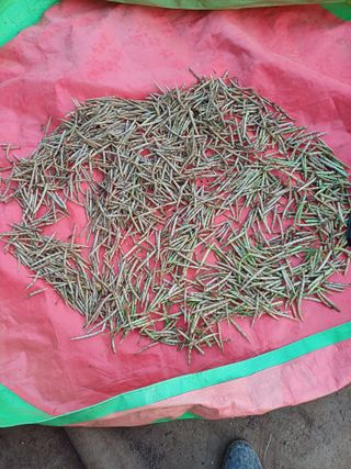 이철우님의 기타작물 · 자유게시판 작성글 사진