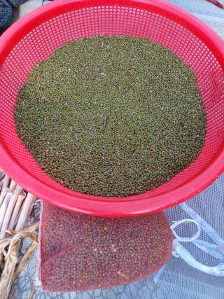 이철우님의 기타작물 · 자유게시판 작성글 사진