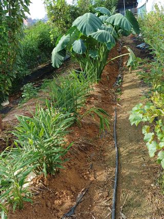 이철우님의 기타작물 · 자유게시판 작성글 사진