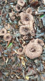 팜모닝 자유주제·자유게시판 게시글 이미지