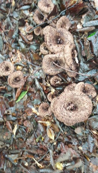 정석구님의 자유주제 · 자유게시판 작성글 사진