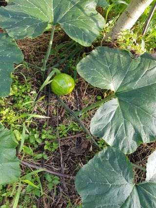 정석구님의 자유주제 · 자유게시판 작성글 사진