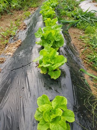 정석구님의 자유주제 · 자유게시판 작성글 사진