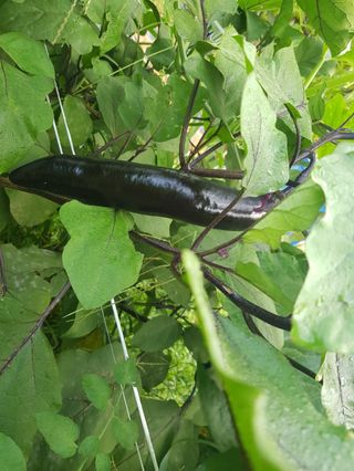 정석구님의 자유주제 · 자유게시판 작성글 사진