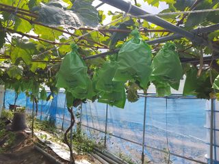 정석구님의 자유주제 · 자유게시판 작성글 사진