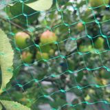 팜모닝 윷놀이 끝! 어떠셨나요?·참여글 게시글 이미지